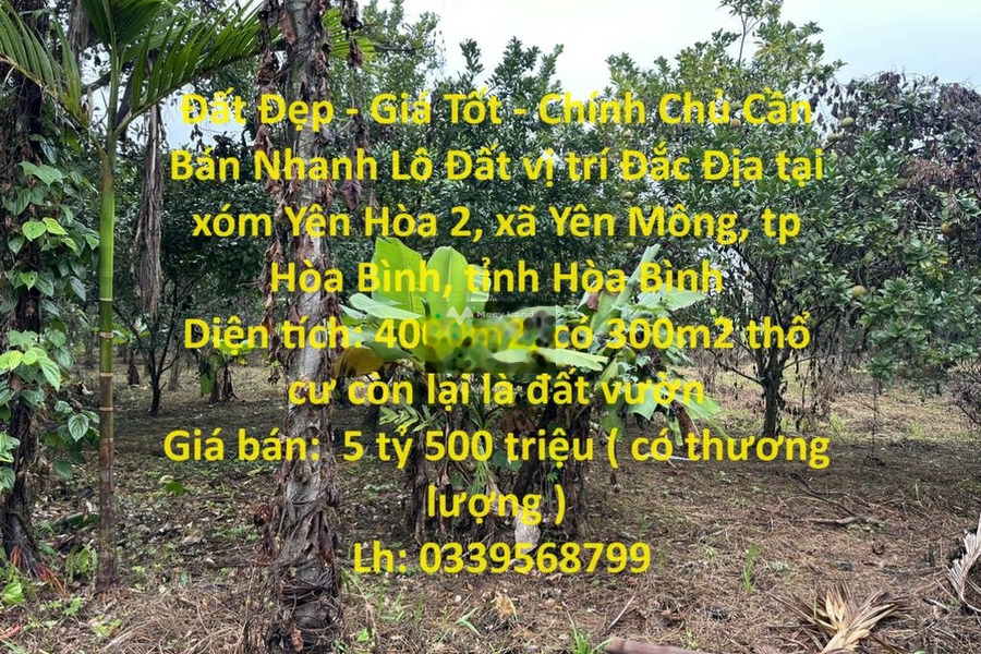 Bán mảnh đất, giá bán tốt nhất 5.5 tỷ tổng diện tích là 4000m2-01