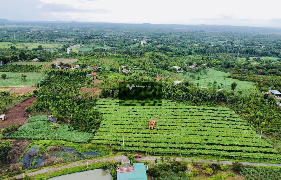 Vị trí cực kì thuận lợi ngay tại Ea M'Nang, Đắk Lắk bán đất giá bán siêu mềm từ 790 triệu diện tích đúng với trên ảnh 3000m2-01