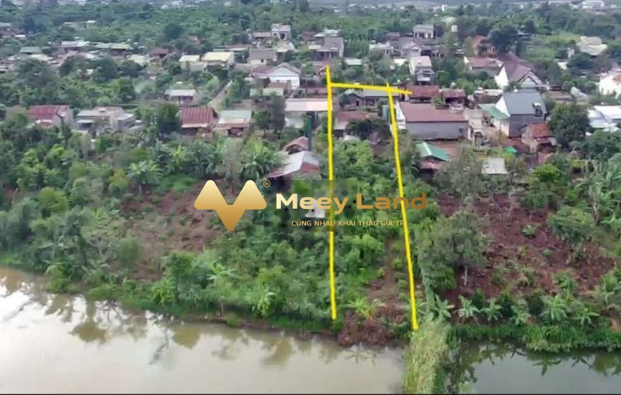 Gần Đắk Mil, Đắk Nông bán đất giá thương lượng chỉ 650 triệu có diện tích chuẩn 1300 m2-01