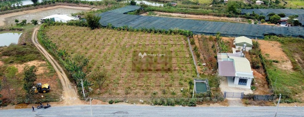 Ở Bảo Lộc, Lâm Đồng bán đất 1.6 tỷ có diện tích sàn 3000m2-03