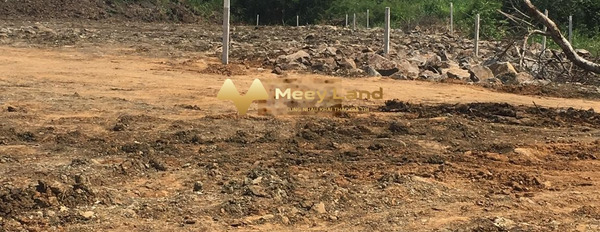 Bán đất dt đúng với trên ảnh 11000 m2 ngay Bàu Trâm, Đồng Nai-03