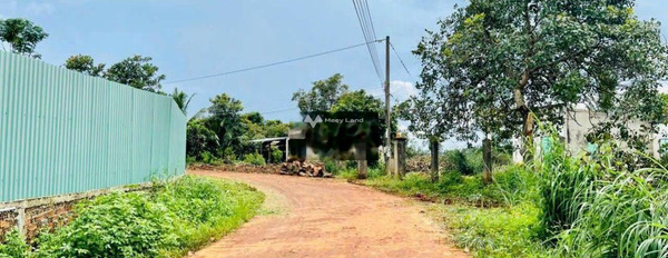 Phước Vĩnh, Phú Giáo bán đất giá cơ bản chỉ 245 triệu diện tích trong khoảng 220m2-03