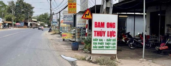 Cần bán đất huyện Dầu Tiếng, tỉnh Bình Dương giá 479 triệu-03