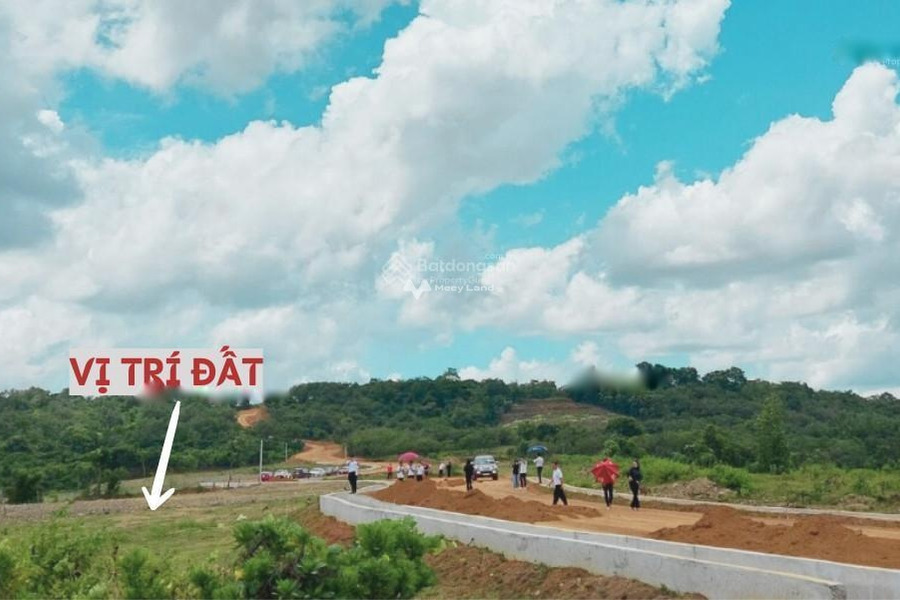 Cần bán đất nền 500m2, mặt tiền 5m, hướng Đông tại Lộc Ninh, Bình Phước, giá 400 triệu-01