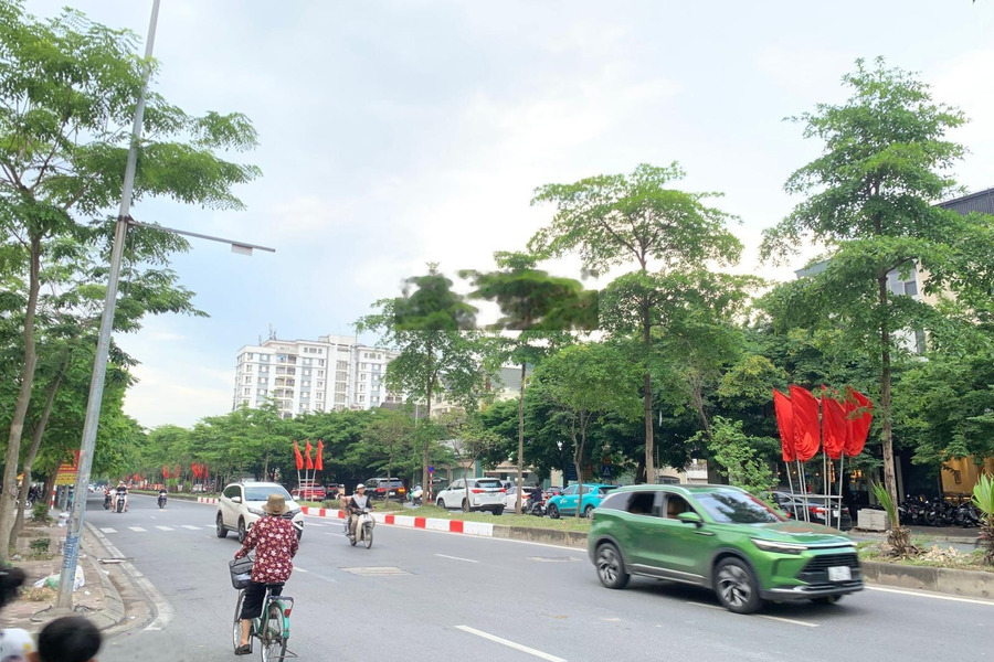 Chu Huy Mân - phân lô ô tô tránh - vỉa hè đá bóng - kinh doanh đỉnh - sát Grand Jardin Sài Đồng -01