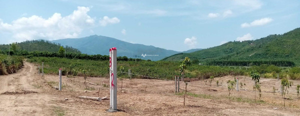 Đường 5, Khánh Hòa bán đất giá bán hấp dẫn 268 triệu có diện tích tiêu chuẩn 750m2-02