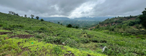 Bán đất thổ cư xã Lộc Thành, 1000m2, 100m2. Sổ hồng sẵn. View núi -02