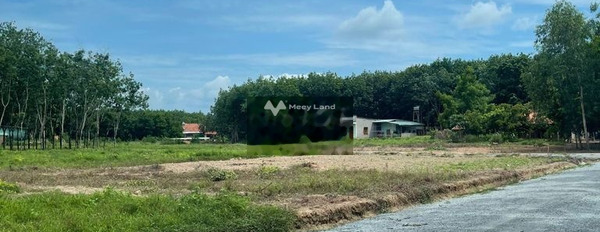 Đồng Phú, Bình Phước bán đất giá bán tốt từ 290 triệu có diện tích sàn 1749m2-03