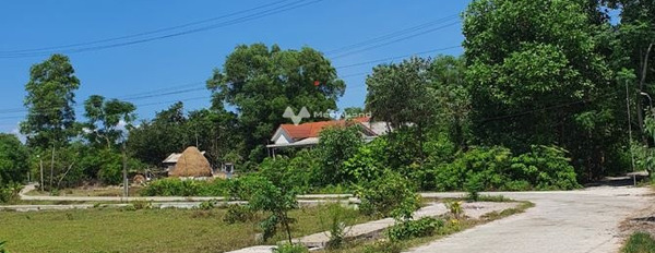 Quảng Thái, Quảng Điền 360 triệu bán đất với diện tích chuẩn 157m2-02
