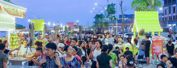 Cho thuê kios mặt đường phố đi bộ tại Vinhomes Vũ Yên Hải Phòng -02