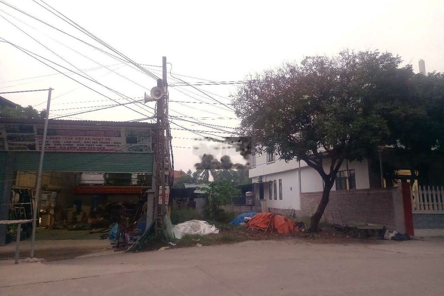 Bận kinh doanh cần bán mảnh đất, 100m2 giá ngạc nhiên chỉ 1.5 tỷ mặt tiền nằm ở Minh Quang, Vĩnh Phúc khu vực đông đúc-01