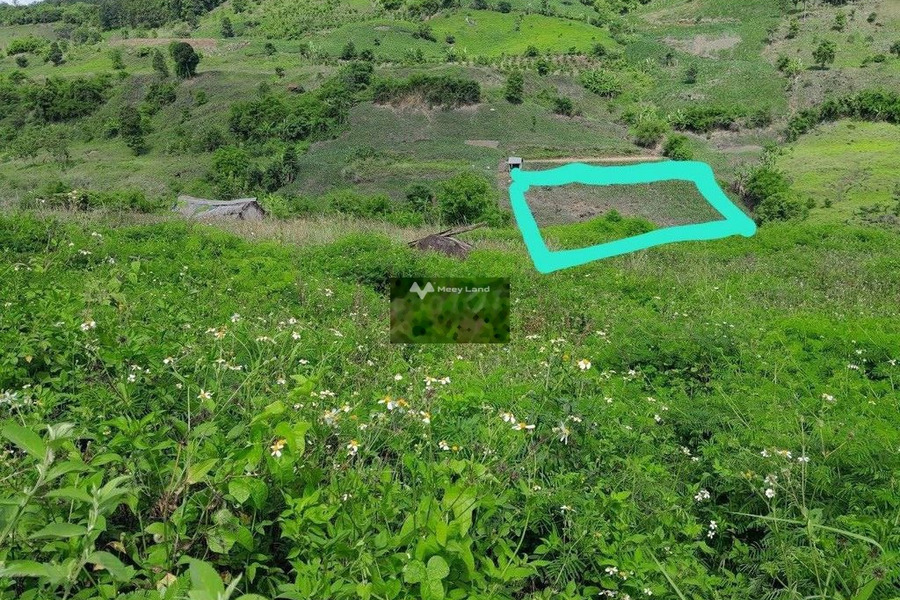Đắk N'Drót, Đắk Mil bán đất giá đề xuất từ 36 triệu diện tích như sau 1300m2-01