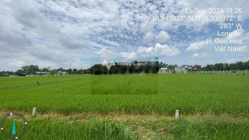 Hiệp Hòa, Long An 1.54 tỷ bán đất với diện tích tiêu chuẩn 500m2-01