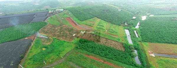 Vị trí thuận tiện Lạc Dương, Lâm Đồng bán đất giá thỏa thuận chỉ 300 triệu có diện tích thực 1000m2-02