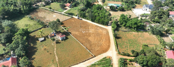 Vị trí đặt ngay tại Thạch Quảng, Thanh Hóa bán đất, giá bán rẻ từ 190 triệu diện tích trong khoảng 150m2-03