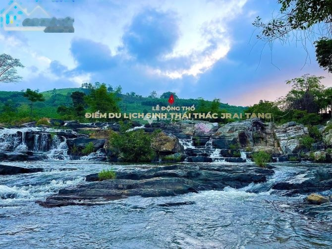 Khoảng 550 triệu bán đất diện tích khoảng là 500m2 vị trí đẹp tọa lạc tại Xuân Hải, Sông Cầu-01