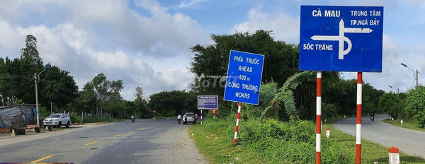 Bán đất 12 tỷ Hưng Phú, Mỹ Tú diện tích quy ước 3000m2-03