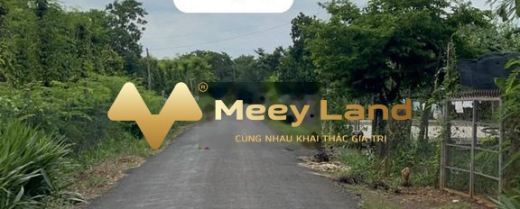Huyện Bù Đốp, Tỉnh Bình Phước bán đất giá bán siêu rẻ chỉ 240 triệu dt chính là 240 m2-03