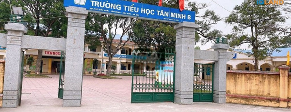 Tân Minh, Sóc Sơn 1.15 tỷ bán đất với diện tích là 103m2-03