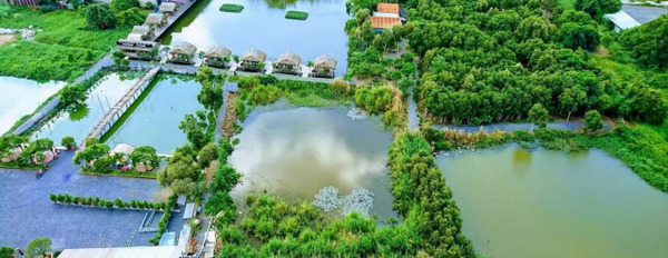 Chính chủ cần bán căn hộ chung cư Heaven Riverview Quận 8, Hồ Chí Minh-03