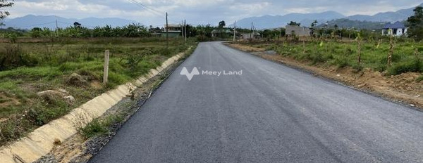 Đinh Công Tráng, Lộc Châu bán đất giá khuyến mãi chỉ 21 tỷ với diện tích rộng 14000m2-03