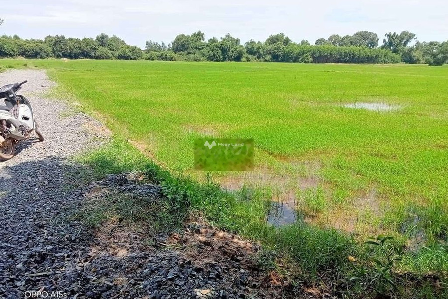 Khoảng 2.5 tỷ bán đất với diện tích là 1721m2 vị trí thuận lợi ngay tại Hàm Tân, Bình Thuận, hướng Đông-01