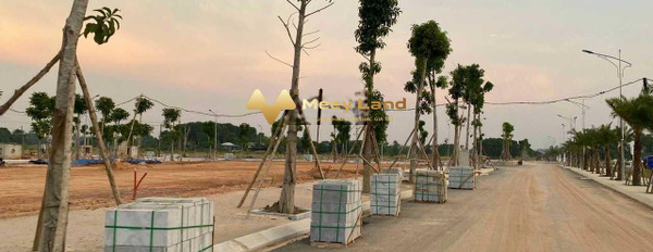 Bán đất tại Thắng Lợi, Bách Quang, Thái Nguyên. Diện tích 96m2, giá thương lượng-02