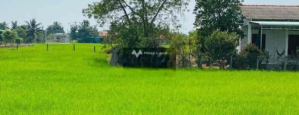 565 triệu bán đất Diện tích nền 133m2 vị trí đặt ngay Nguyễn Văn Đường, Tân Trụ-03