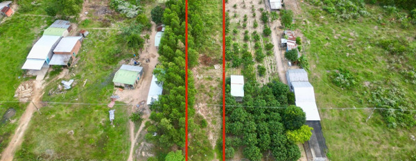 Đầu tư bất động sản bán mảnh đất, 1132m2 giá bán đặc biệt chỉ 1.4 tỷ vị trí đẹp ngay tại Khánh Bình, Khánh Vĩnh vị trí tốt-03