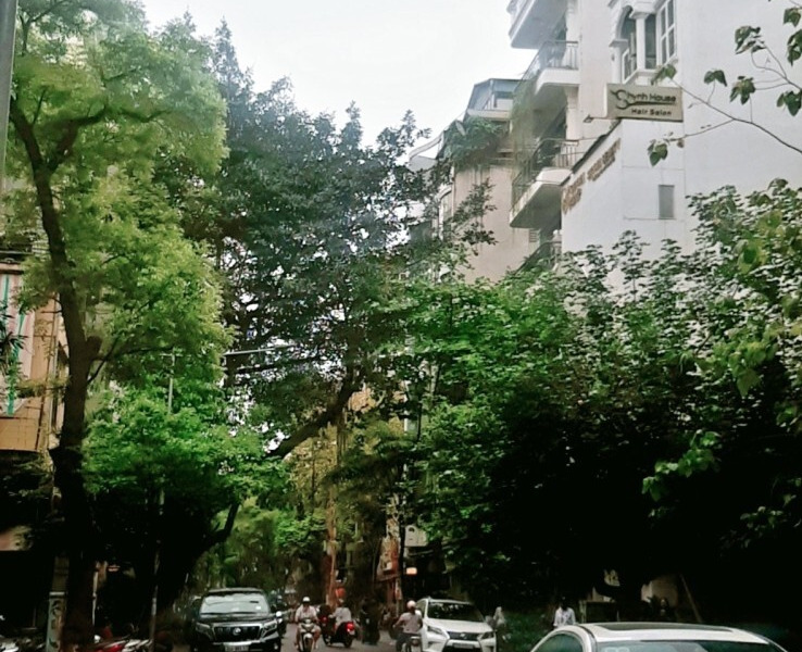 Bán tòa nhà văn phòng mặt phố Triệu Việt Vương, Hai Bà Trưng, 175m2, 12 tầng, giá chào 155 tỷ-01
