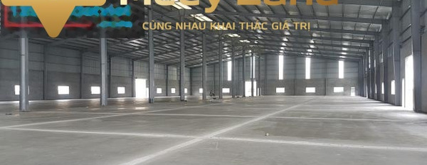 Vị trí đặt ngay ở Quốc Lộ 1A, Hà Nội cho thuê kho bãi 4000 m2 giá ngạc nhiên chỉ 340 triệu/tháng khuôn viên rộng rãi-03