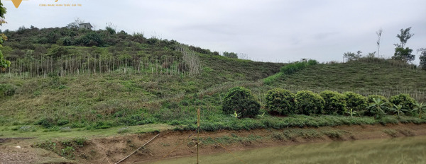 Bán 4,5 ha đất tại Cao Phong, Hòa Bình, đã có cam khai thác, hồ nước, đất ở-03
