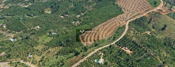 Từ 850 triệu bán đất có diện tích thực là 5053m2 vị trí đặt ngay ở Lộc Nam, Bảo Lâm, hướng Tây-03