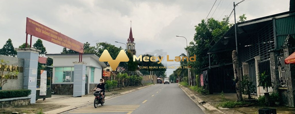 Tọa lạc trên Phường Tân Biên, Tỉnh Đồng Nai bán đất giá bán cực mềm từ 16 tỷ Diện tích đất 1000 m2-03