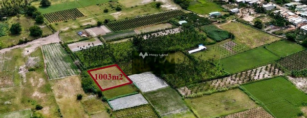 Ngay Đường Đất, Hòa Thắng bán đất 999 triệu với diện tích là 1003m2-02