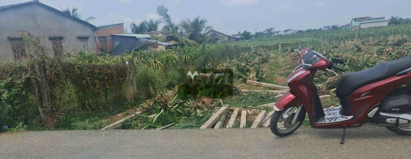 Chính chủ bán đất Châu Thành, Long An giá bán thương mại từ 499 triệu với diện tích là 170m2-02