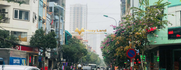 Bán nhà vị trí nằm trên Nguyễn Trãi, Hà Nội giá rẻ bất ngờ 8.8 tỷ có diện tích chung 55m2 nhà tổng quan có tổng 5 PN-02
