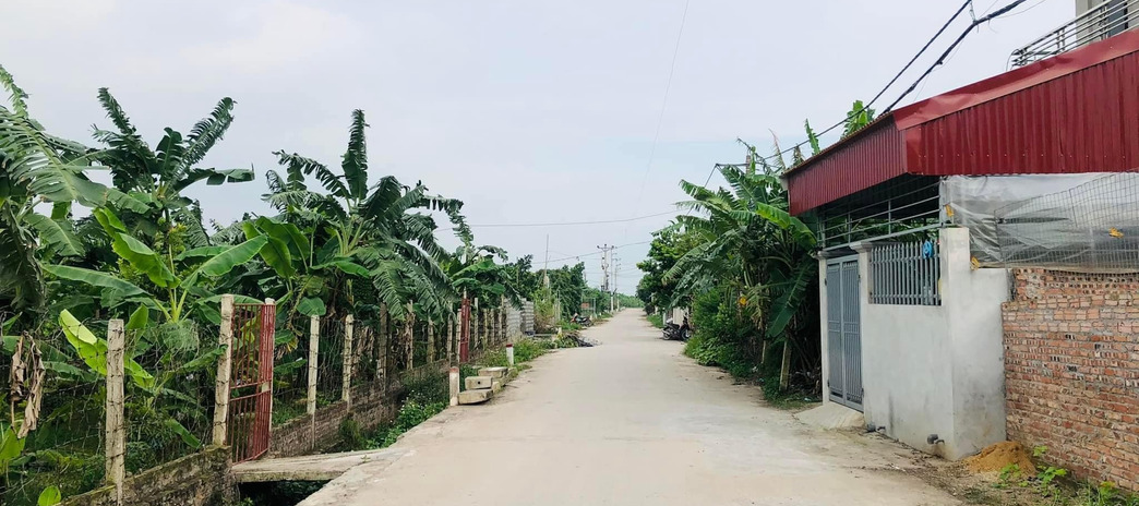 Chính chủ cần tiền bán gấp 183m2 lô đất mặt tiền tại xã Hồng Thái, huyện Phú Xuyên