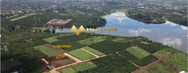 Bán mảnh đất, giá bán tốt bất ngờ 1.6 tỷ diện tích thực dài 231 m2-02