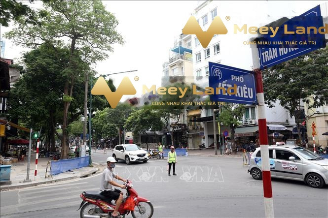 Tổng quan nhà bao gồm 8 PN bán nhà giá bán khoảng 165 tỷ có diện tích 165m2 vị trí đặt ngay ở Đường Trần Hưng Đạo, Hà Nội