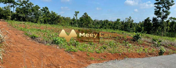 Bán đất Y Moal, Đắk Lawsk, giá 175 triệu-02