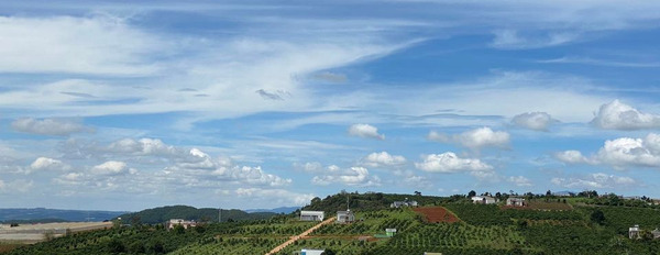 Đất ven thành phố Đà Lạt, giá sốc mùa dịch. Sổ hồng riêng 100m2 thổ cư, view đẹp nghỉ dưỡng-02