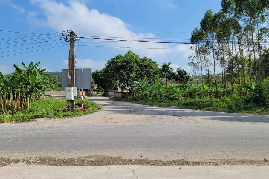 Giá 890 triệu bán đất có diện tích chuẩn 140m2 Phía trong Quang Sơn, Lập Thạch-01