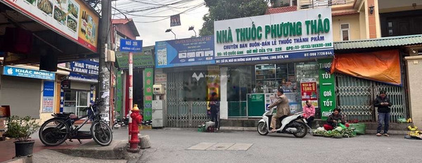 Vị trí đẹp tọa lạc trên Long Biên, Hà Nội bán đất, giá cạnh tranh chỉ 4.8 tỷ có một diện tích là 50m2-03