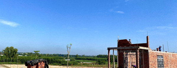 Bán đất thế đồi tựa Đà Lạt tại Cầu Ri Sông Xoài thị xã Phú Mỹ, 5mx30m, sổ sẵn, công chứng ngay-02
