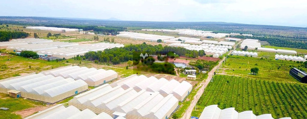 Khoảng 3.8 tỷ bán đất với diện tích 20443m2 vị trí mặt tiền ngay trên Bắc Bình, Bình Thuận-03