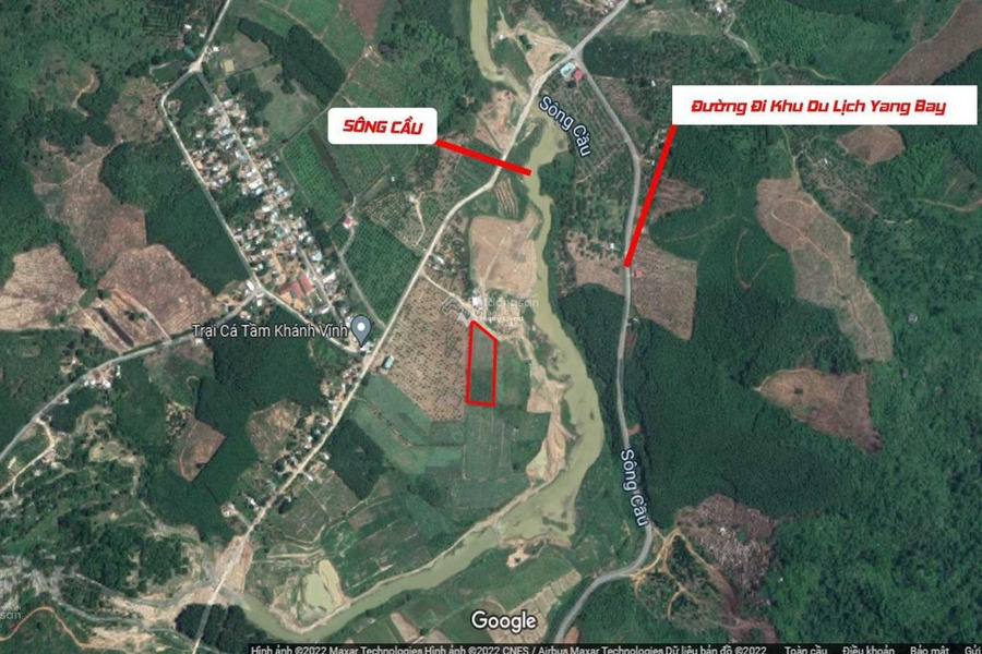 Bán đất 7.5 tỷ Khánh Phú, Khánh Vĩnh với diện tích chuẩn 5000m2-01