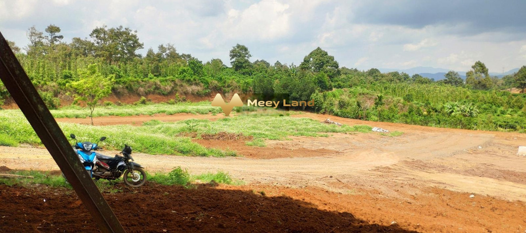 Giá giao động từ 550 triệu, Bán đất dt tổng 100 m2 nằm trên Trần Phú, Lộc An cực kì sang trọng