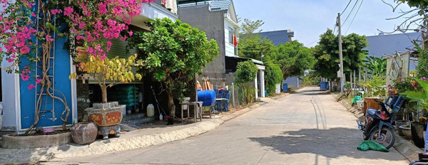 Bán đất trên Quận 9, Hồ Chí Minh giá 2,03 tỷ-03