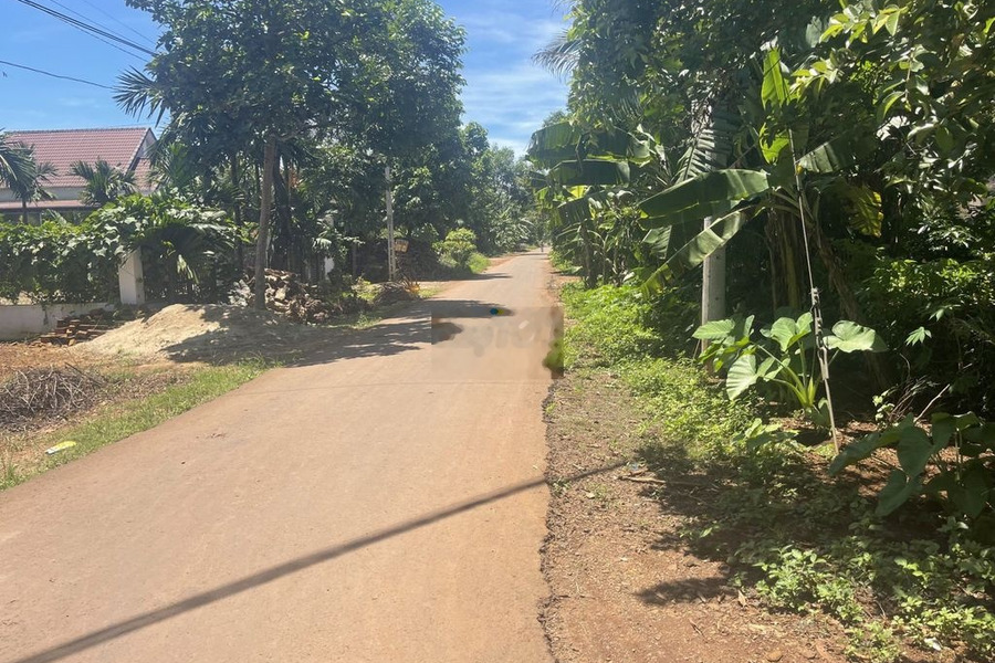 Bán đất Hoà Thắng ngay đường nhựa cách sân bay chỉ 1km -01